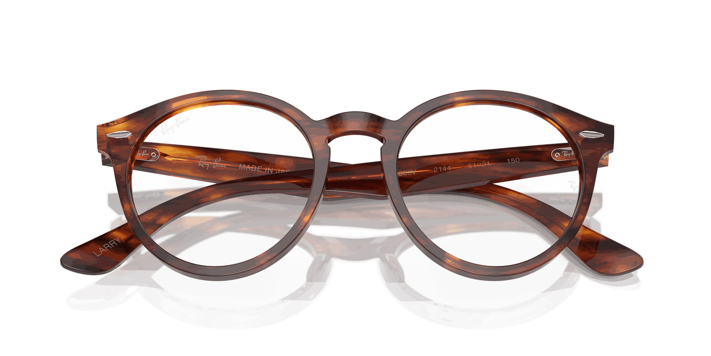 [Clear Lenses, Polished Striped Havana Frame]