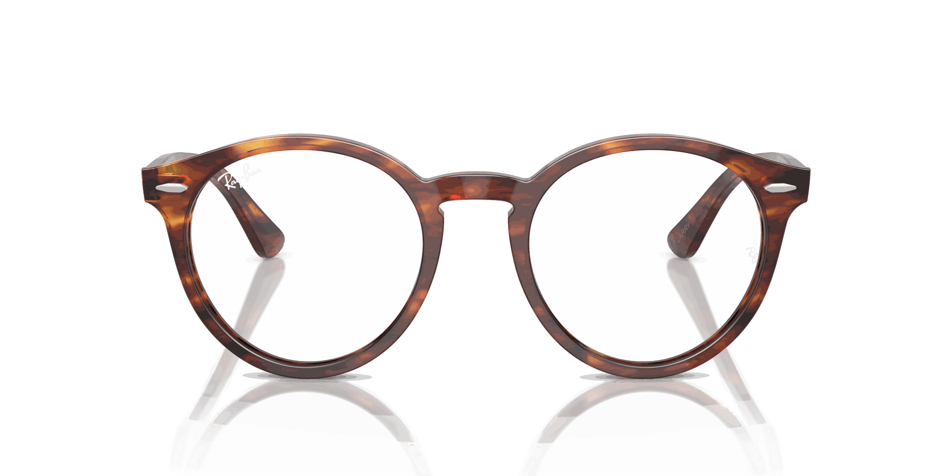 [Clear Lenses, Polished Striped Havana Frame]