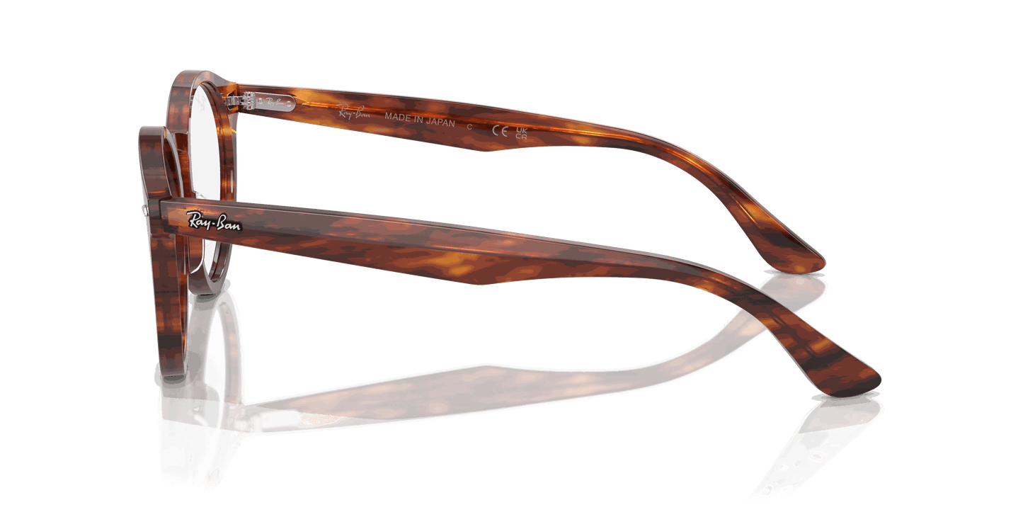 [Clear Lenses, Polished Striped Havana Frame]