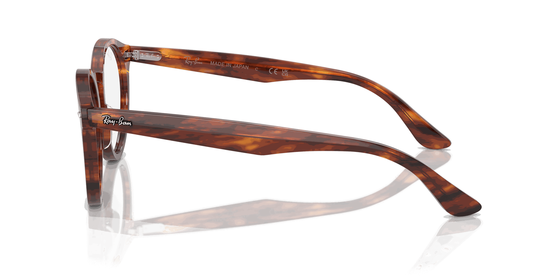 [Clear Lenses, Polished Striped Havana Frame]