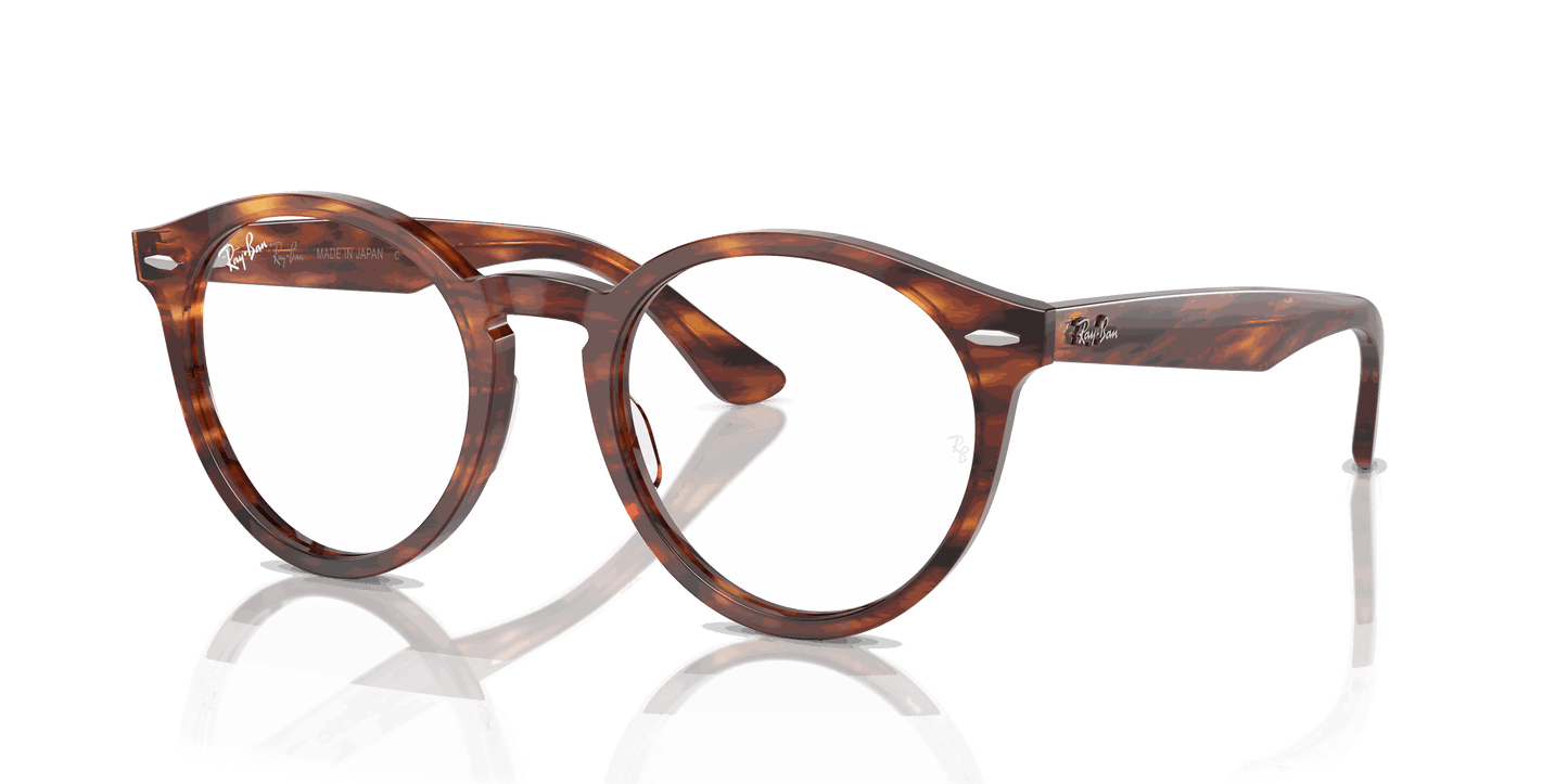 [Clear Lenses, Polished Striped Havana Frame]