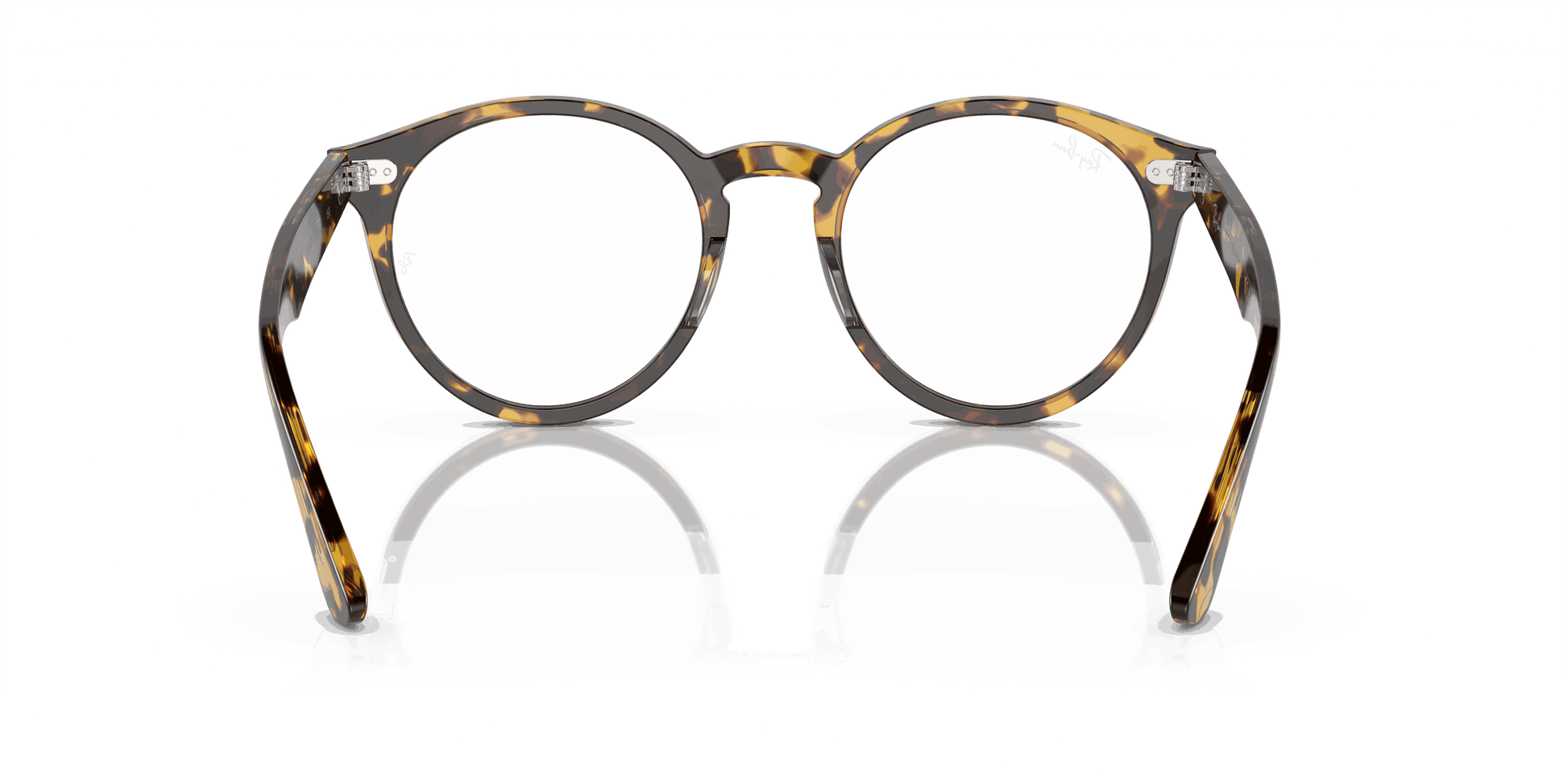 [Clear Lenses, Polished Yellow Havana Frame]