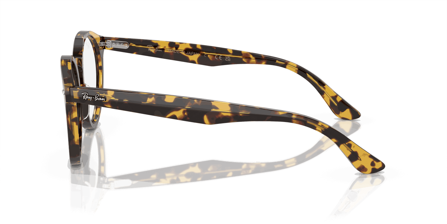 [Clear Lenses, Polished Yellow Havana Frame]