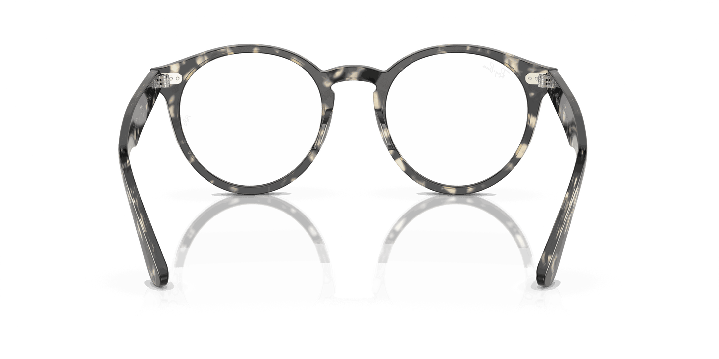 [Clear Lenses, Polished Grey Havana Frame]