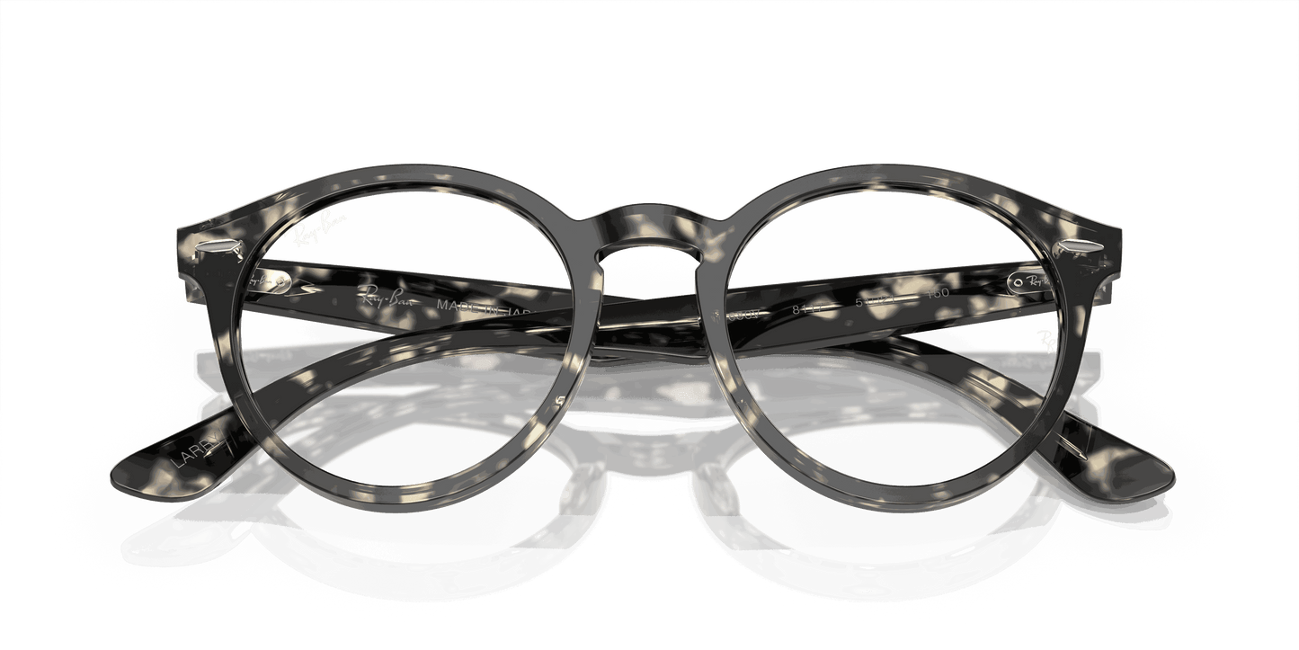 [Clear Lenses, Polished Grey Havana Frame]