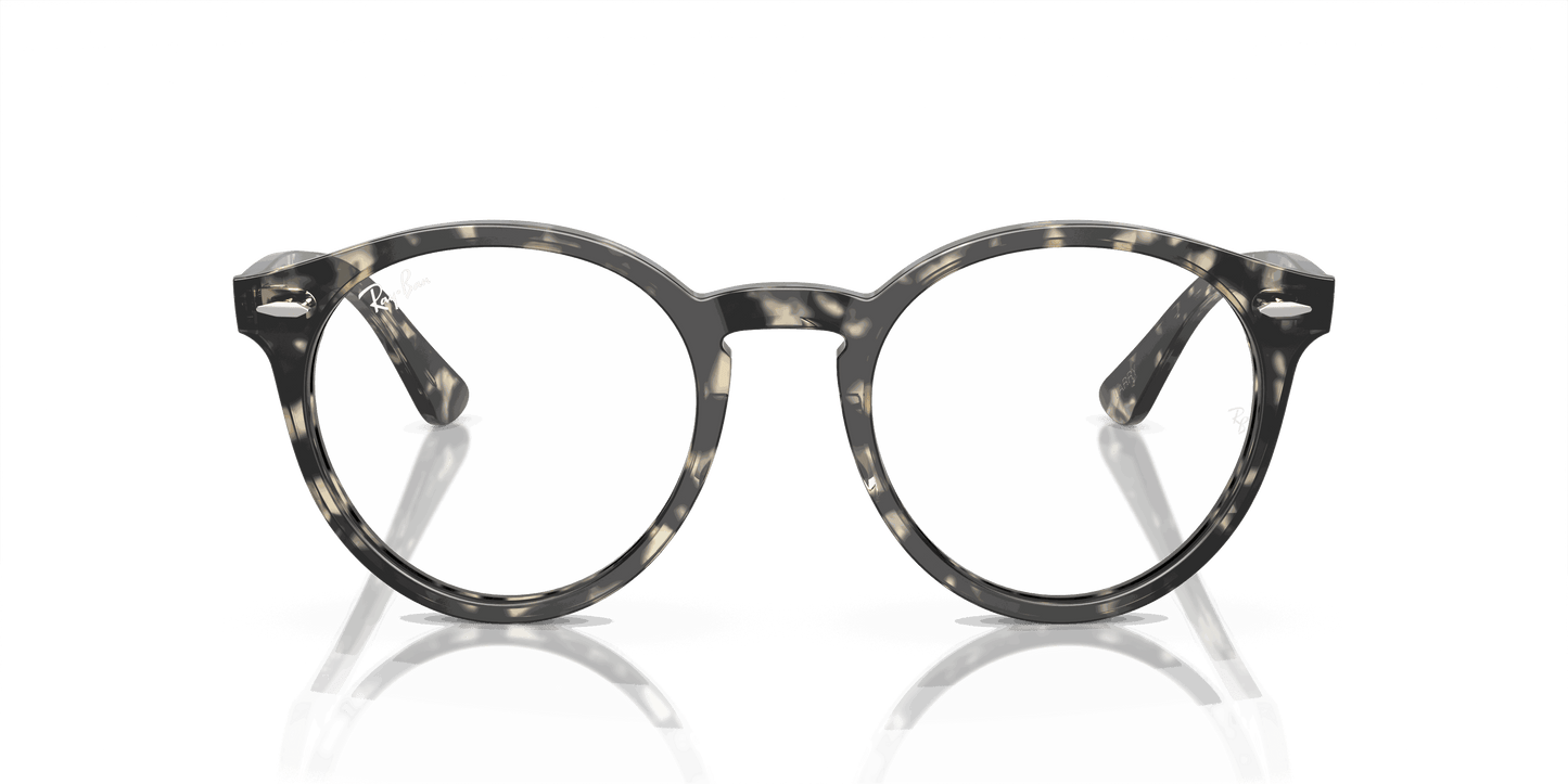[Clear Lenses, Polished Grey Havana Frame]