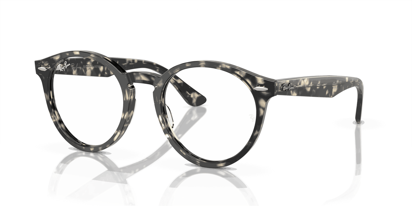 [Clear Lenses, Polished Grey Havana Frame]