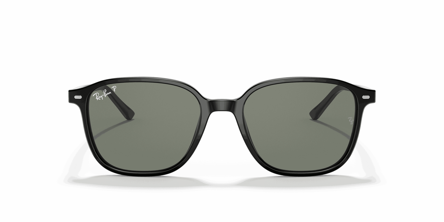 [G-15 Green Lenses, Polished Black Frame]