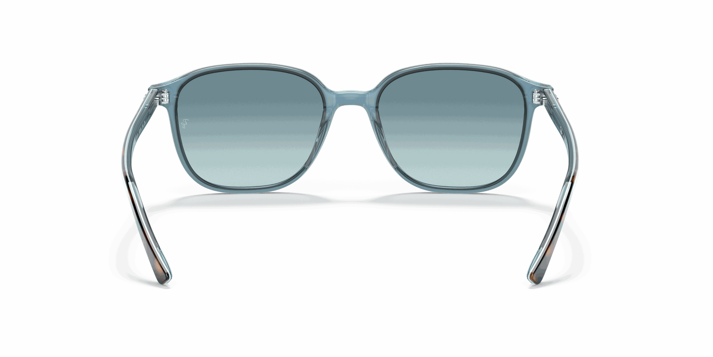 [Blue Lenses, Polished Havana On Light Blue Frame]