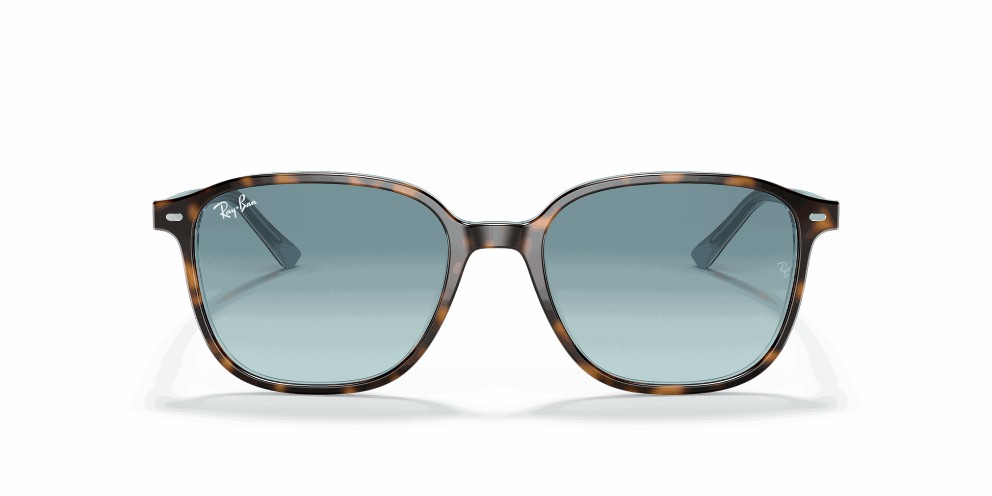 [Blue Lenses, Polished Havana On Light Blue Frame]