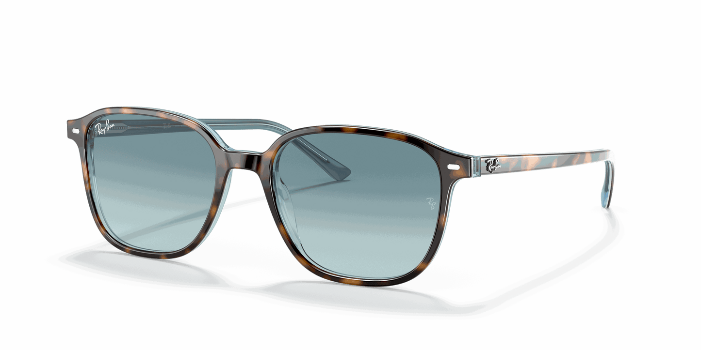[Blue Lenses, Polished Havana On Light Blue Frame]