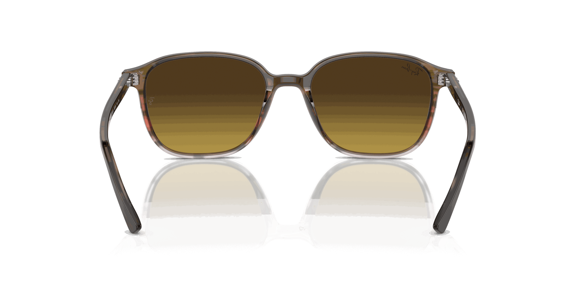 [Brown Lenses, Polished Striped Brown & Red Frame]