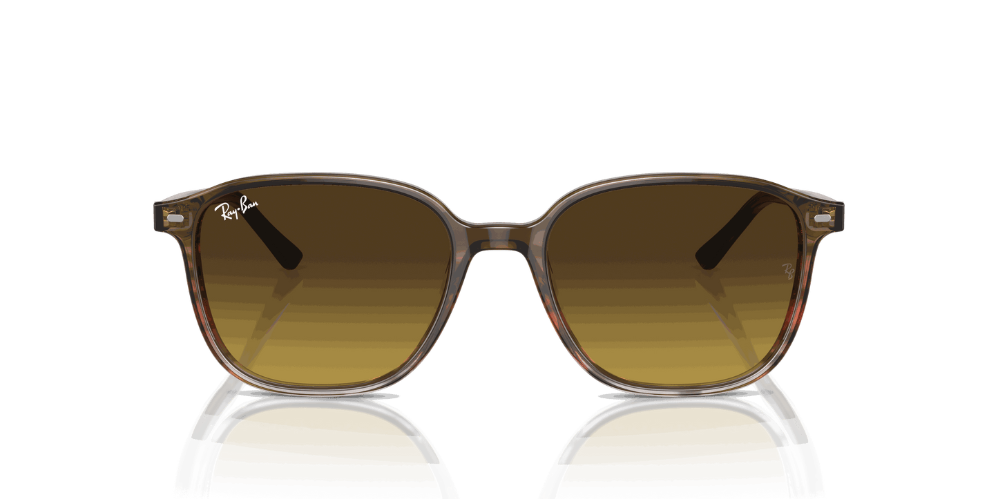 [Brown Lenses, Polished Striped Brown & Red Frame]