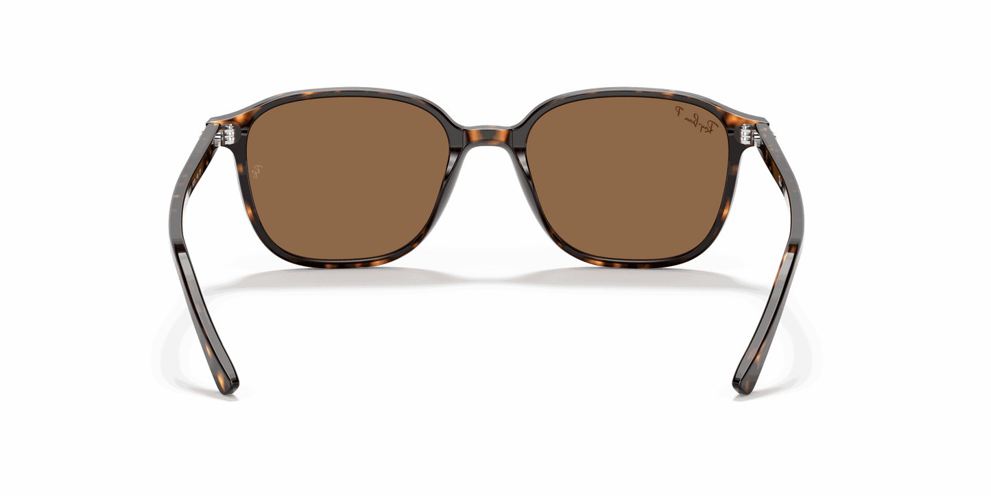 [B-15 Brown Lenses, Polished Tortoise Frame]