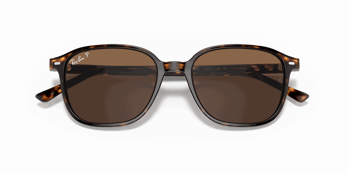 [B-15 Brown Lenses, Polished Tortoise Frame]