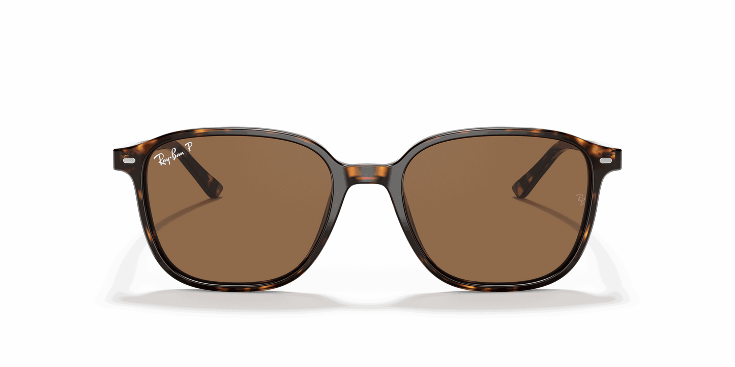 [B-15 Brown Lenses, Polished Tortoise Frame]