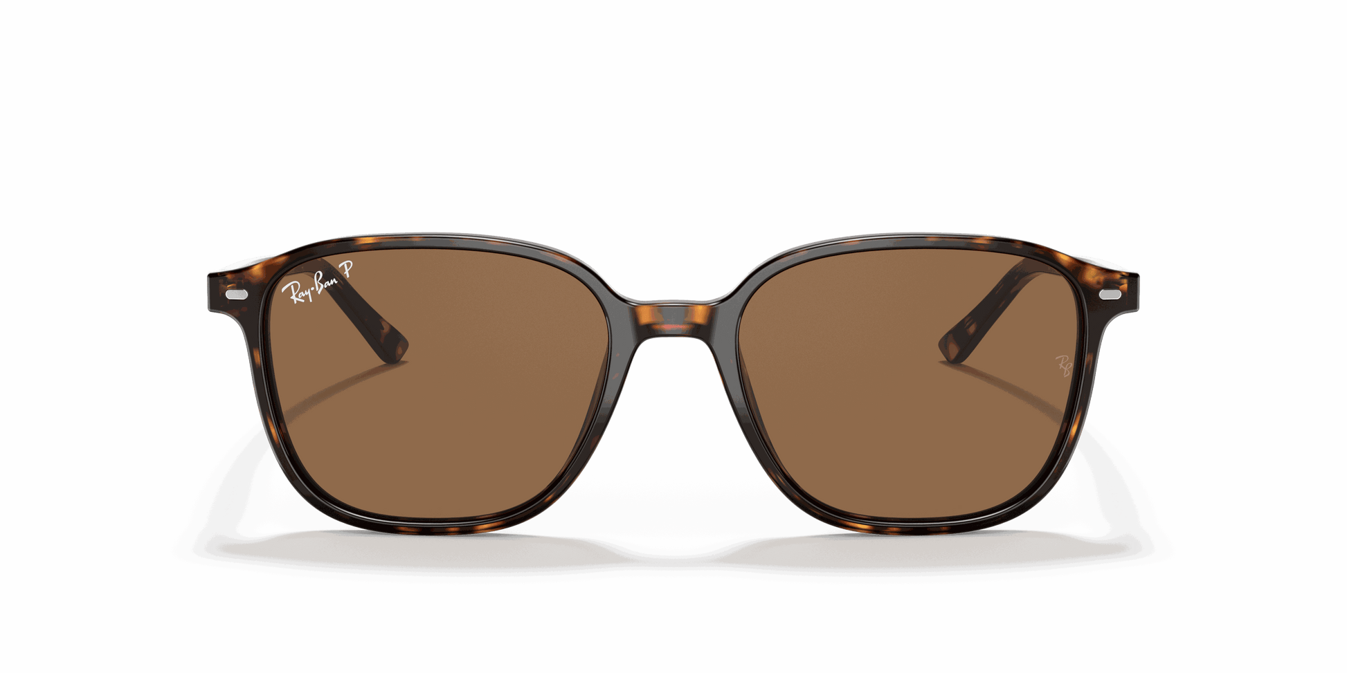 [B-15 Brown Lenses, Polished Tortoise Frame]