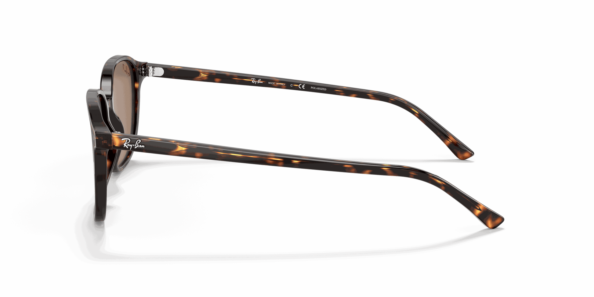 [B-15 Brown Lenses, Polished Tortoise Frame]