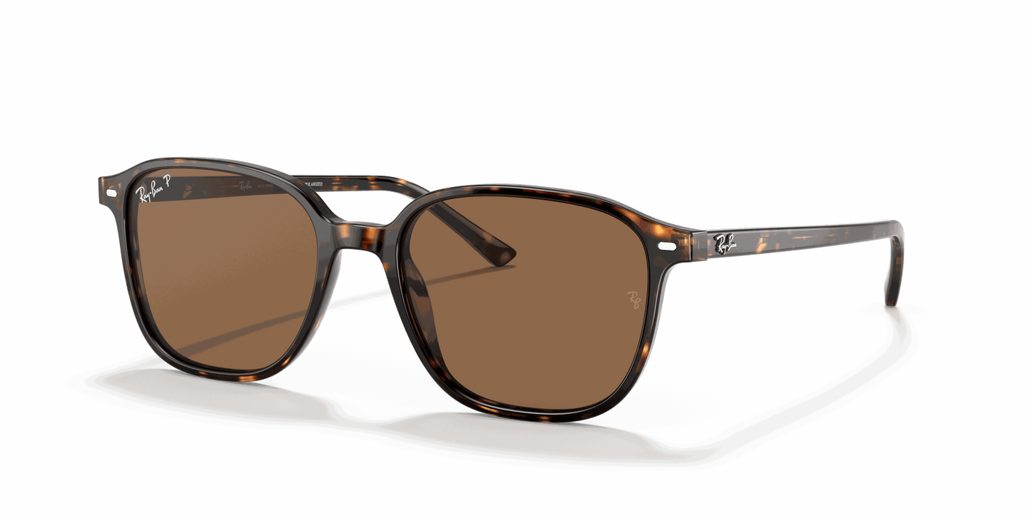 [B-15 Brown Lenses, Polished Tortoise Frame]