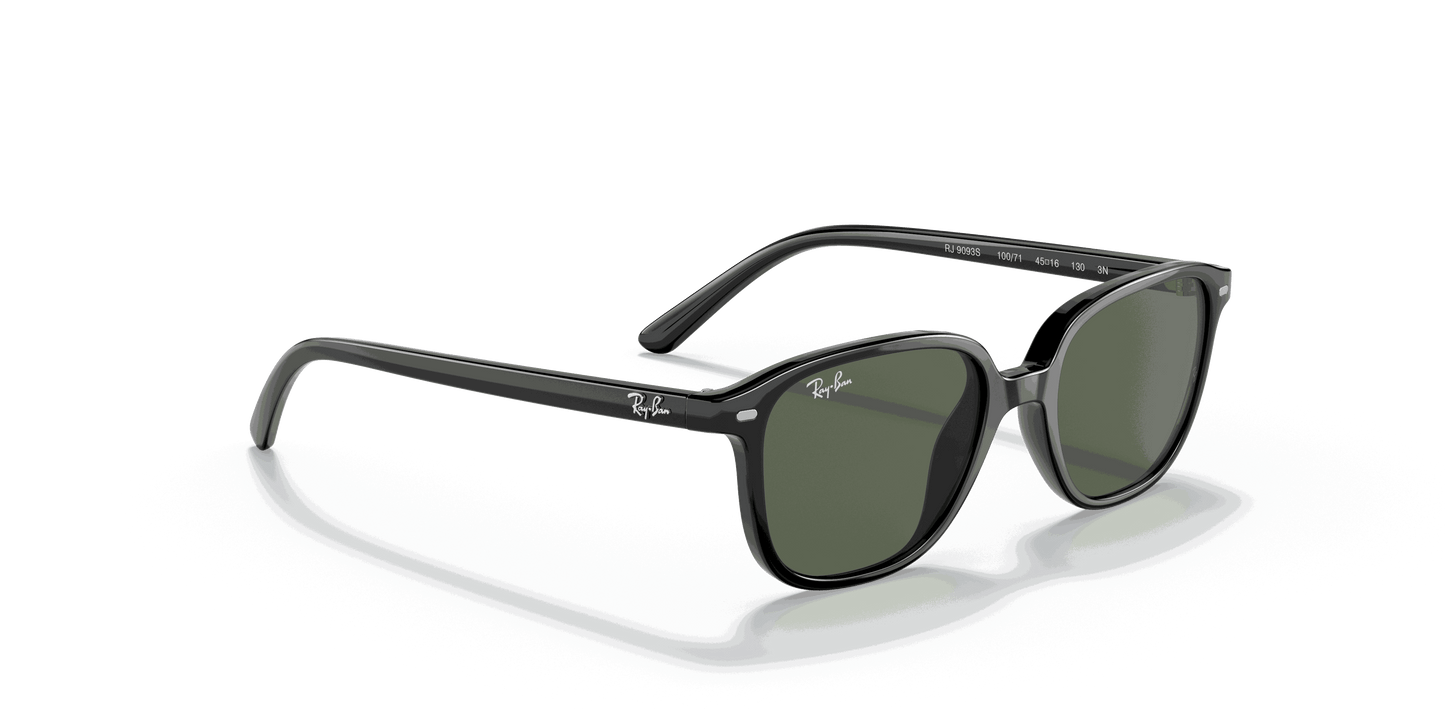 [Dark Green Lenses, Polished Black Frame]