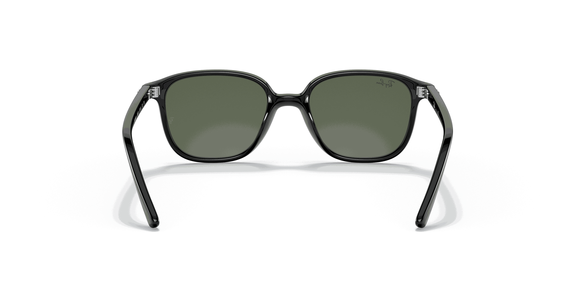 [Dark Green Lenses, Polished Black Frame]