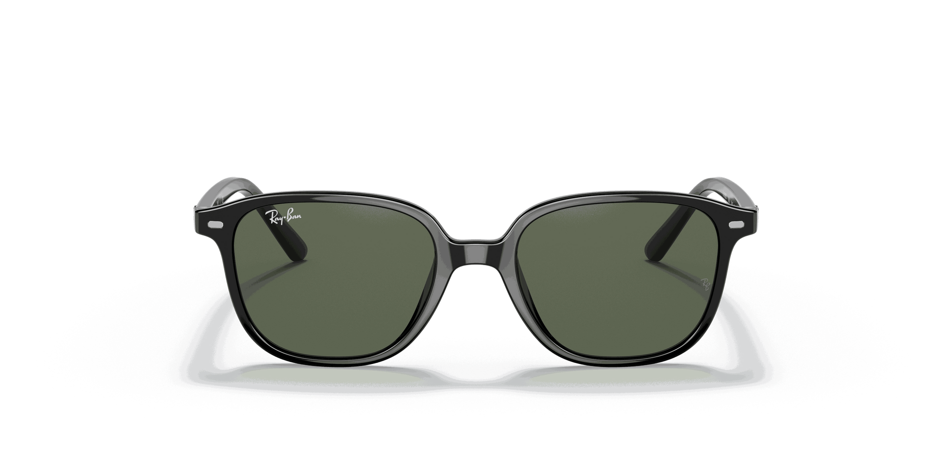[Dark Green Lenses, Polished Black Frame]