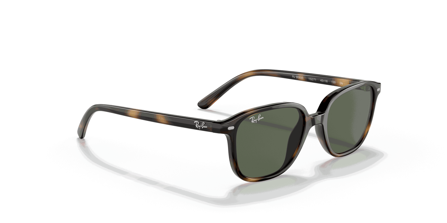 [Dark Green Lenses, Polished Havana Frame]