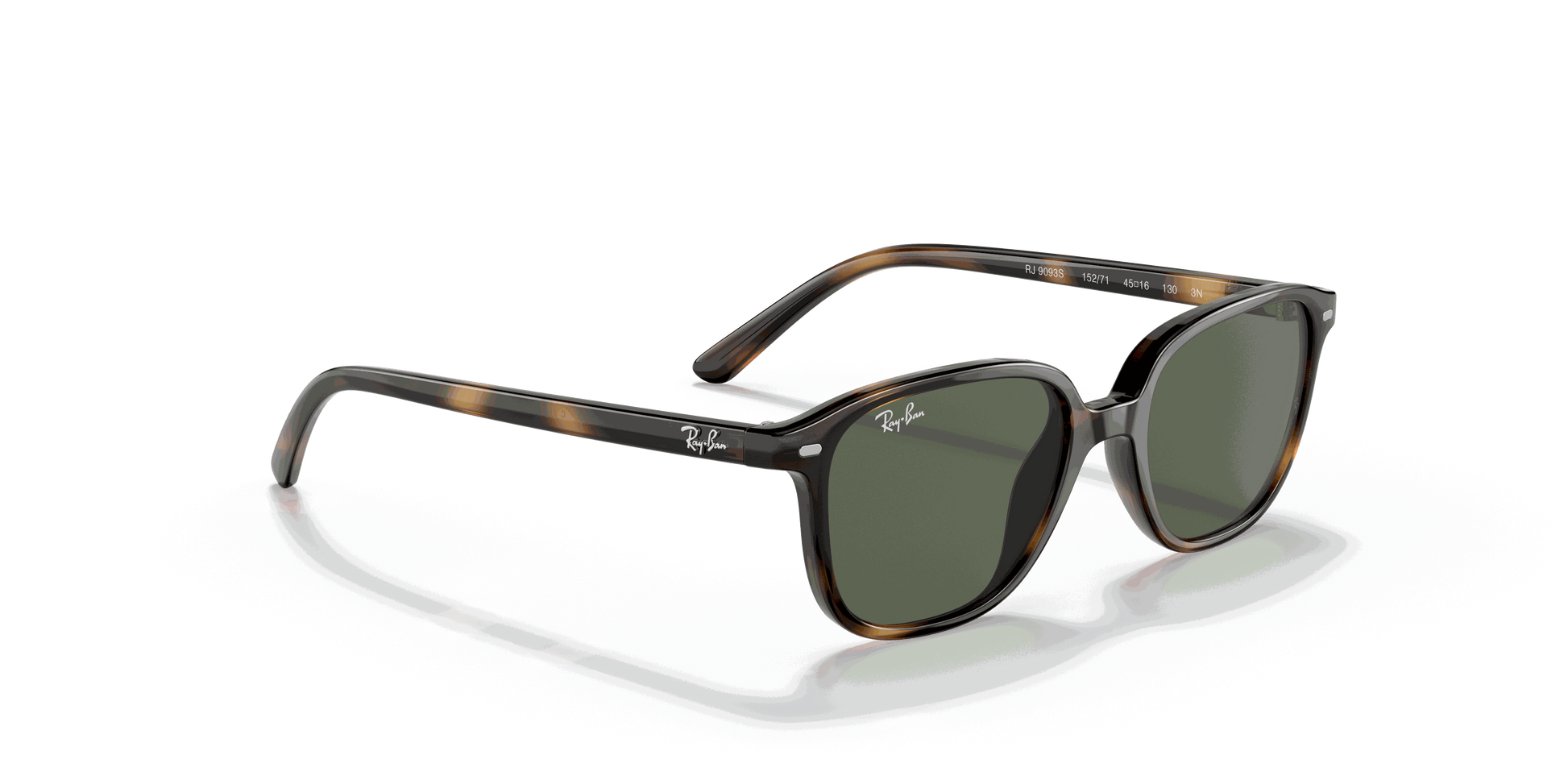 [Dark Green Lenses, Polished Havana Frame]