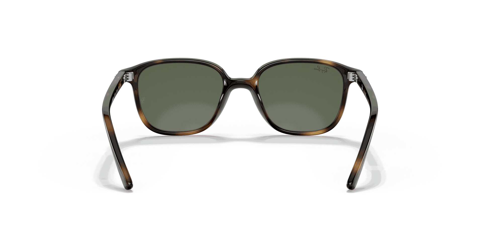 [Dark Green Lenses, Polished Havana Frame]