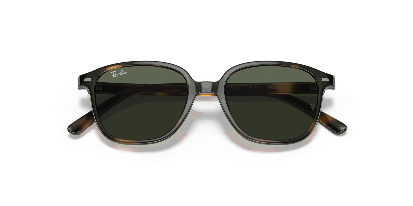 [Dark Green Lenses, Polished Havana Frame]