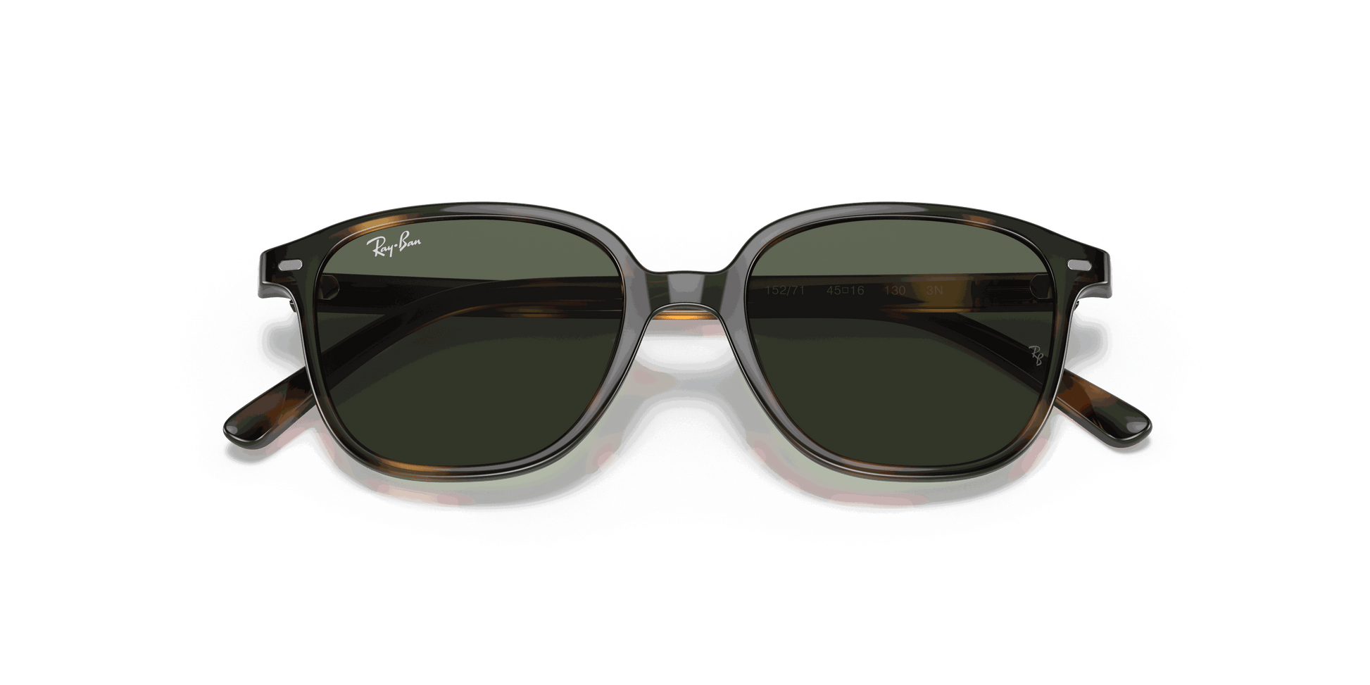[Dark Green Lenses, Polished Havana Frame]