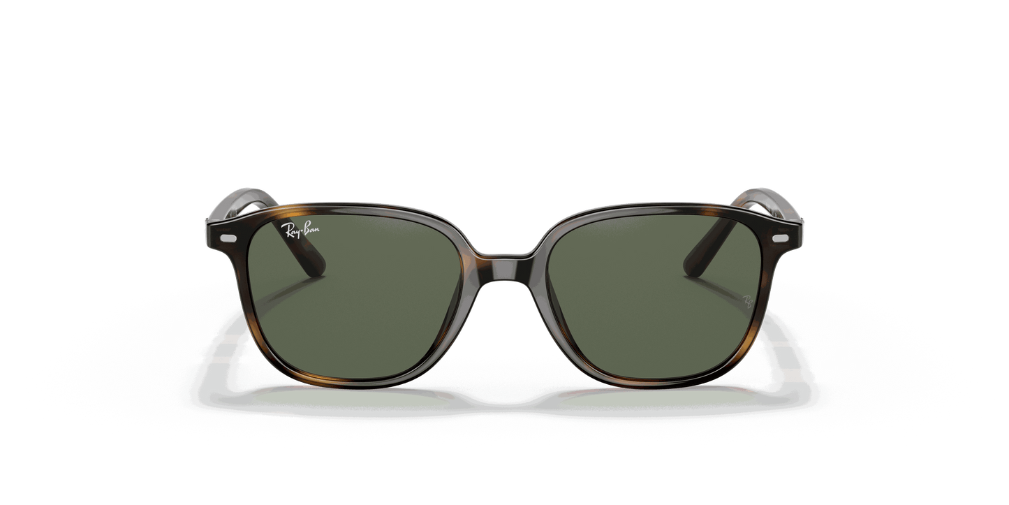 [Dark Green Lenses, Polished Havana Frame]