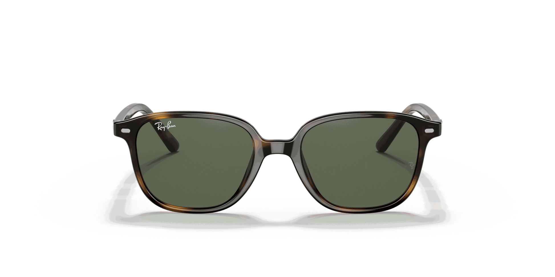 [Dark Green Lenses, Polished Havana Frame]