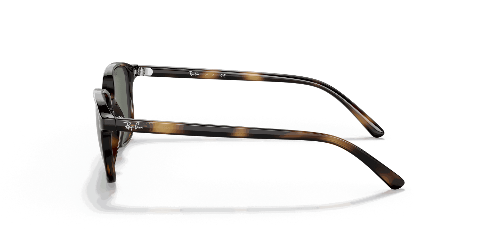 [Dark Green Lenses, Polished Havana Frame]