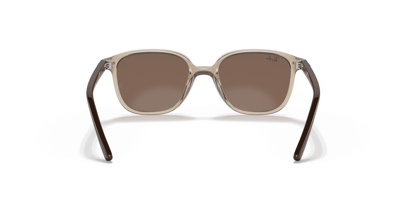 [Dark Brown Lenses, Polished Transparent Brown Frame]