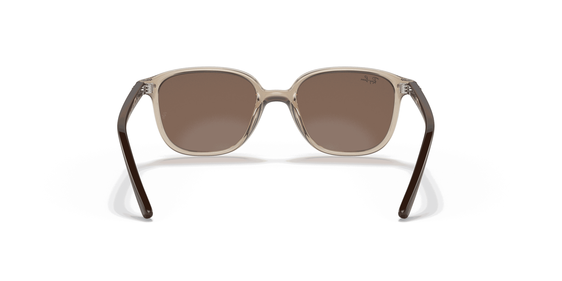 [Dark Brown Lenses, Polished Transparent Brown Frame]