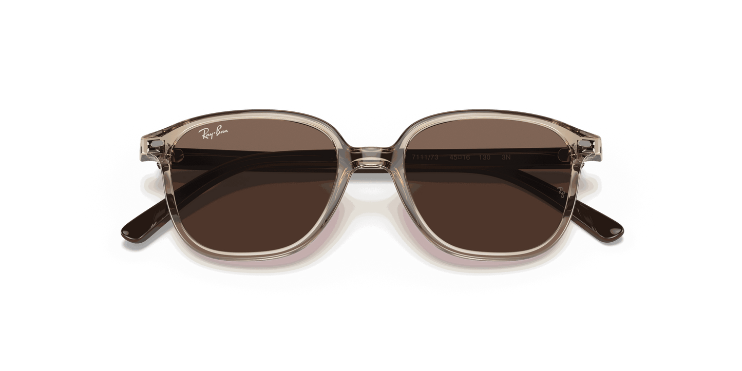 [Dark Brown Lenses, Polished Transparent Brown Frame]