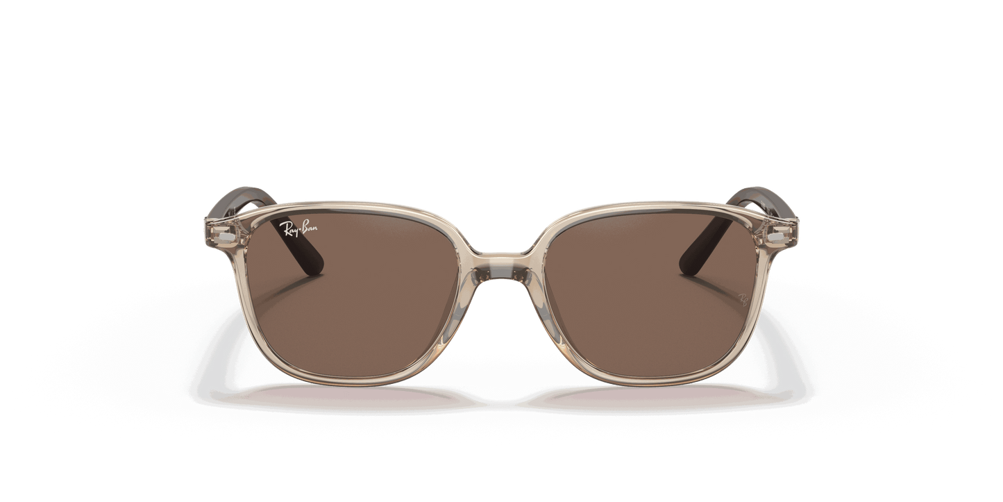 [Dark Brown Lenses, Polished Transparent Brown Frame]