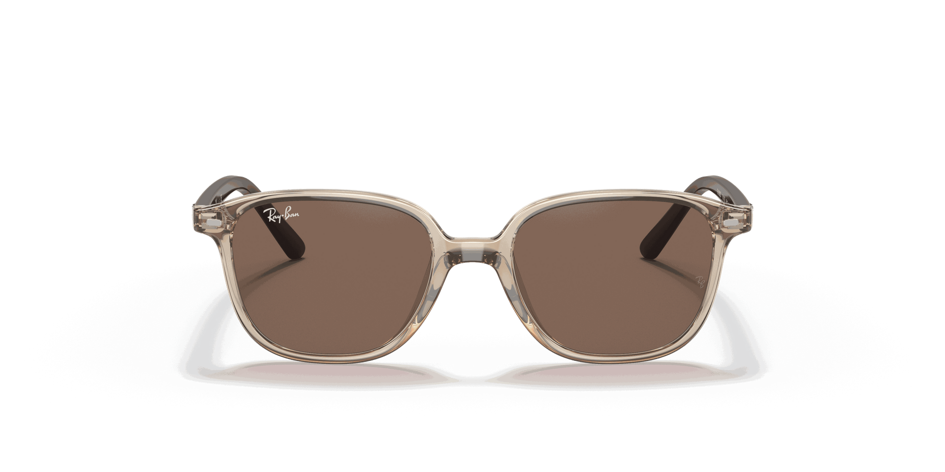 [Dark Brown Lenses, Polished Transparent Brown Frame]