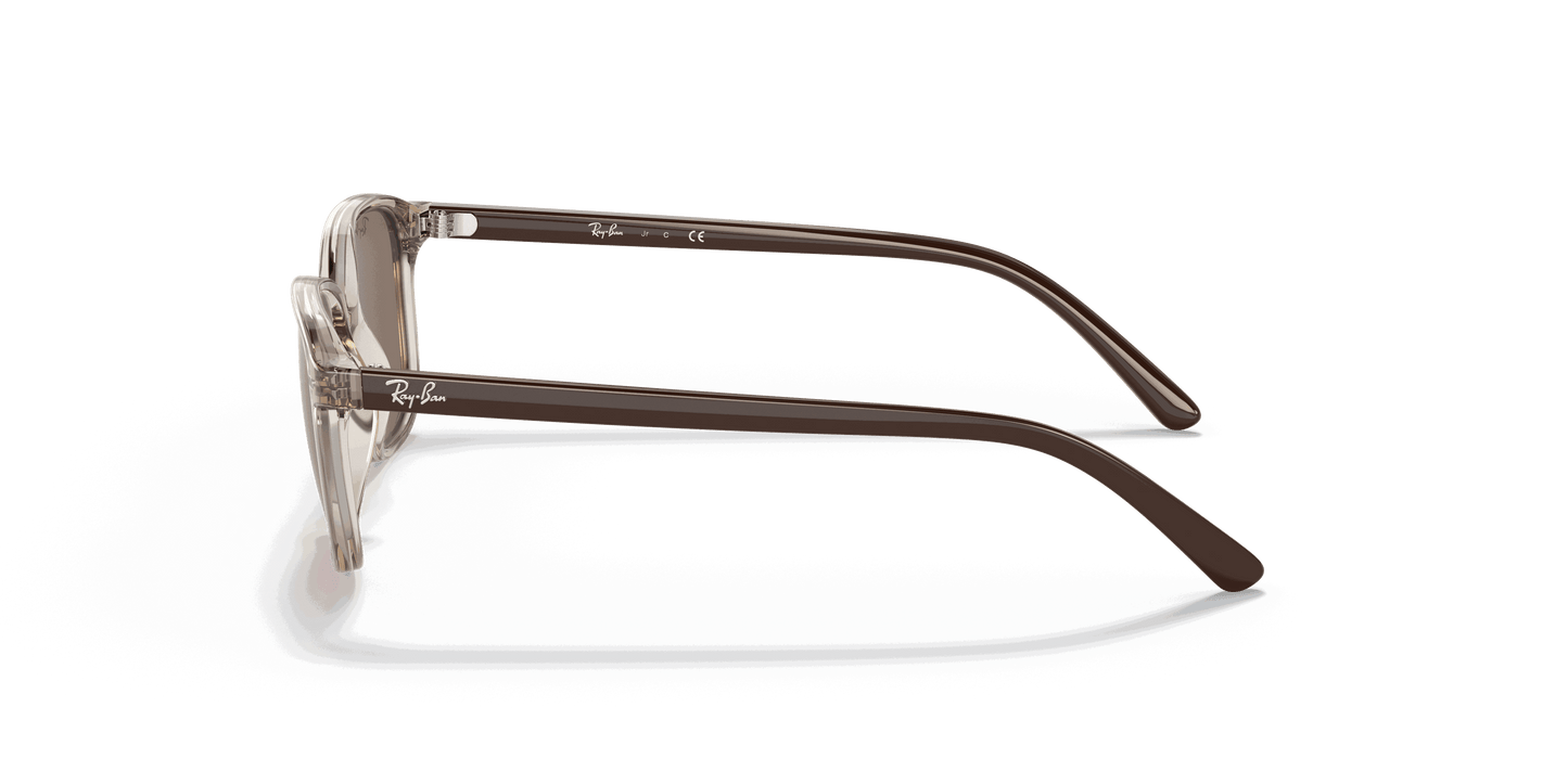 [Dark Brown Lenses, Polished Transparent Brown Frame]