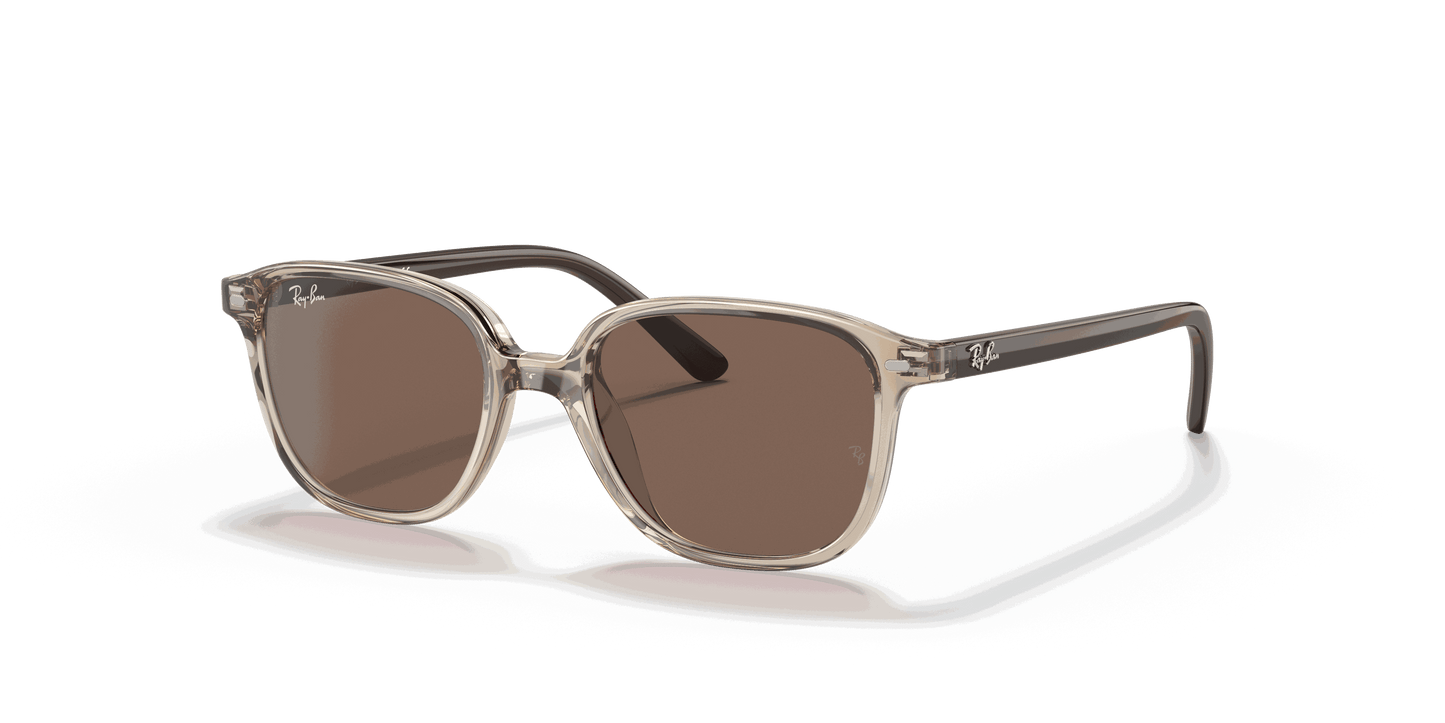 [Dark Brown Lenses, Polished Transparent Brown Frame]