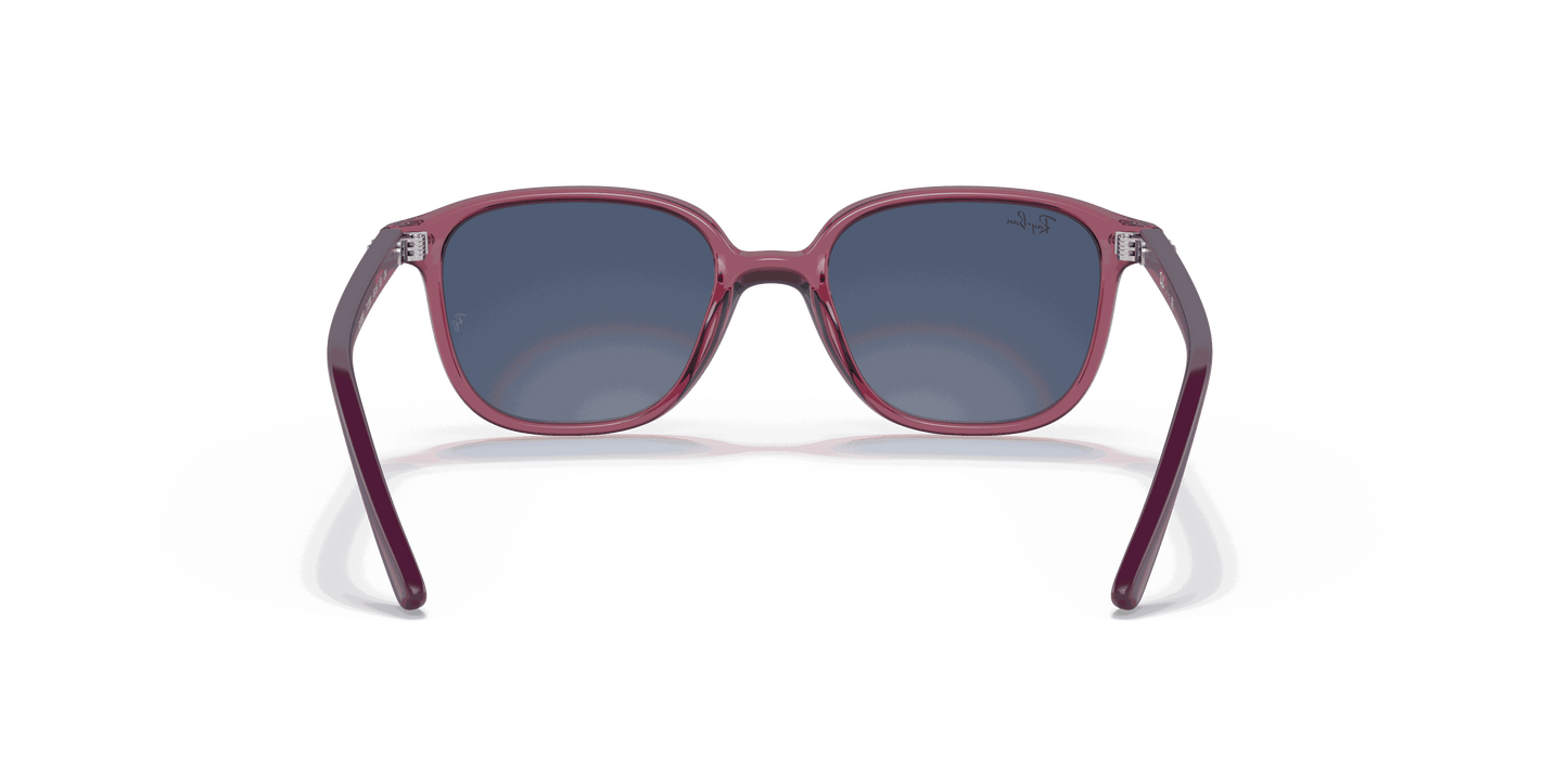 [Dark Blue Lenses, Polished Transparent Pink Frame]