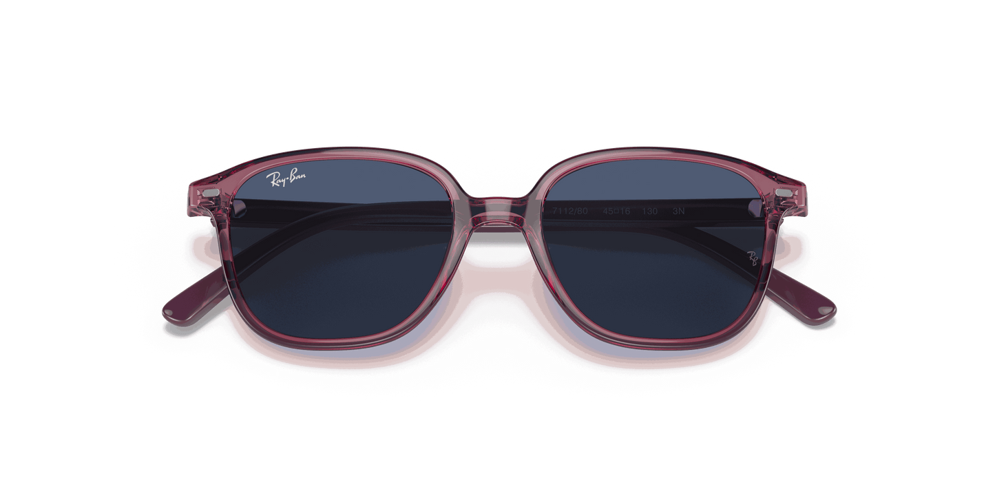[Dark Blue Lenses, Polished Transparent Pink Frame]