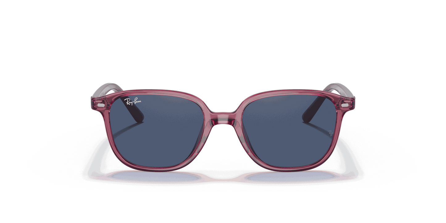 [Dark Blue Lenses, Polished Transparent Pink Frame]