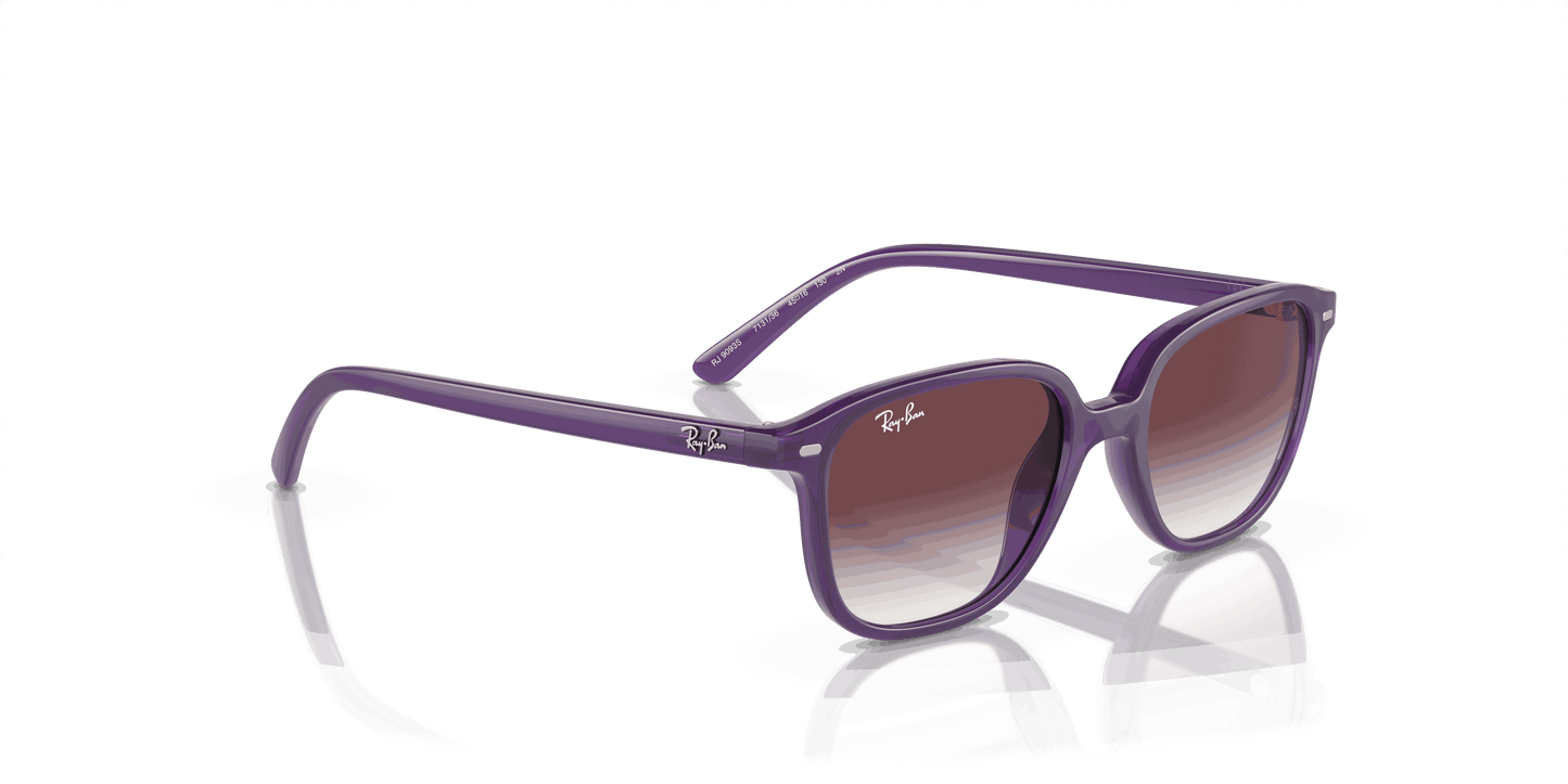 [Grey/Violet Lenses, Polished Opal Violet Frame]