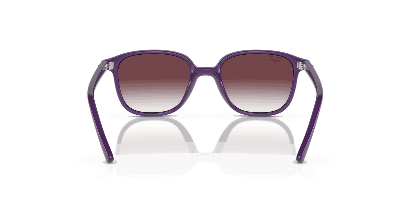 [Grey/Violet Lenses, Polished Opal Violet Frame]