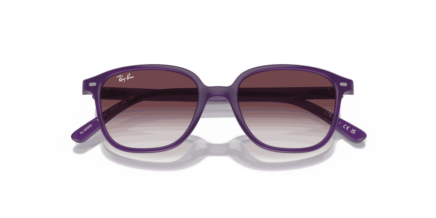 [Grey/Violet Lenses, Polished Opal Violet Frame]