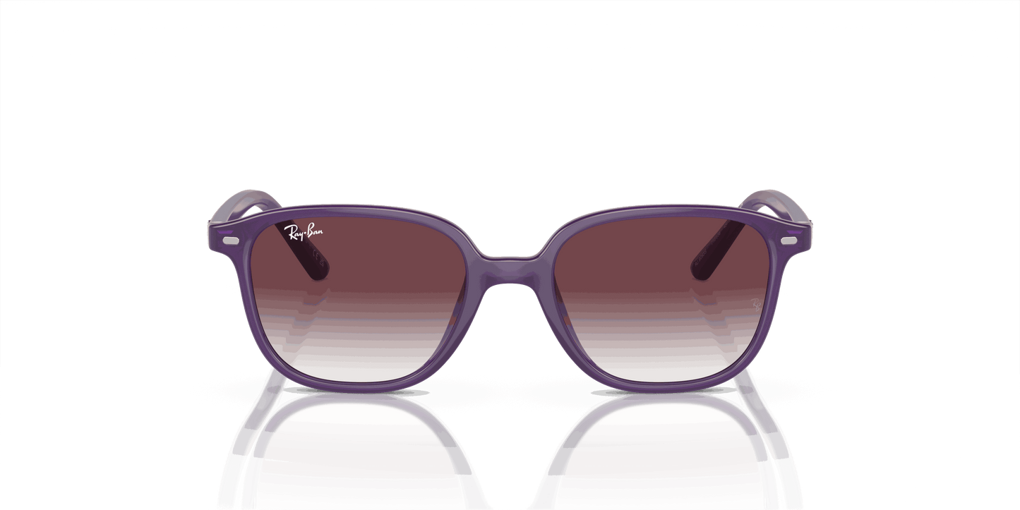 [Grey/Violet Lenses, Polished Opal Violet Frame]