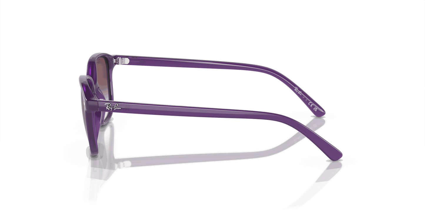 [Grey/Violet Lenses, Polished Opal Violet Frame]