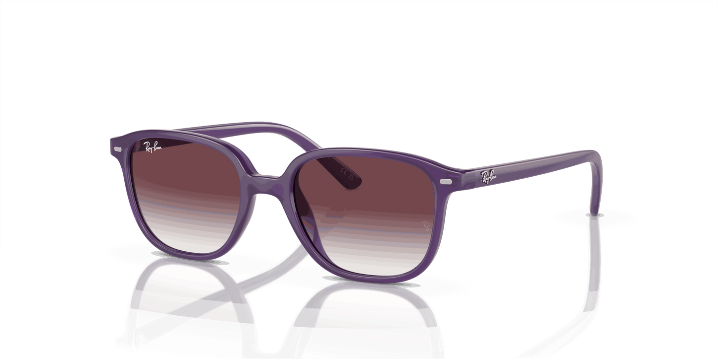 [Grey/Violet Lenses, Polished Opal Violet Frame]
